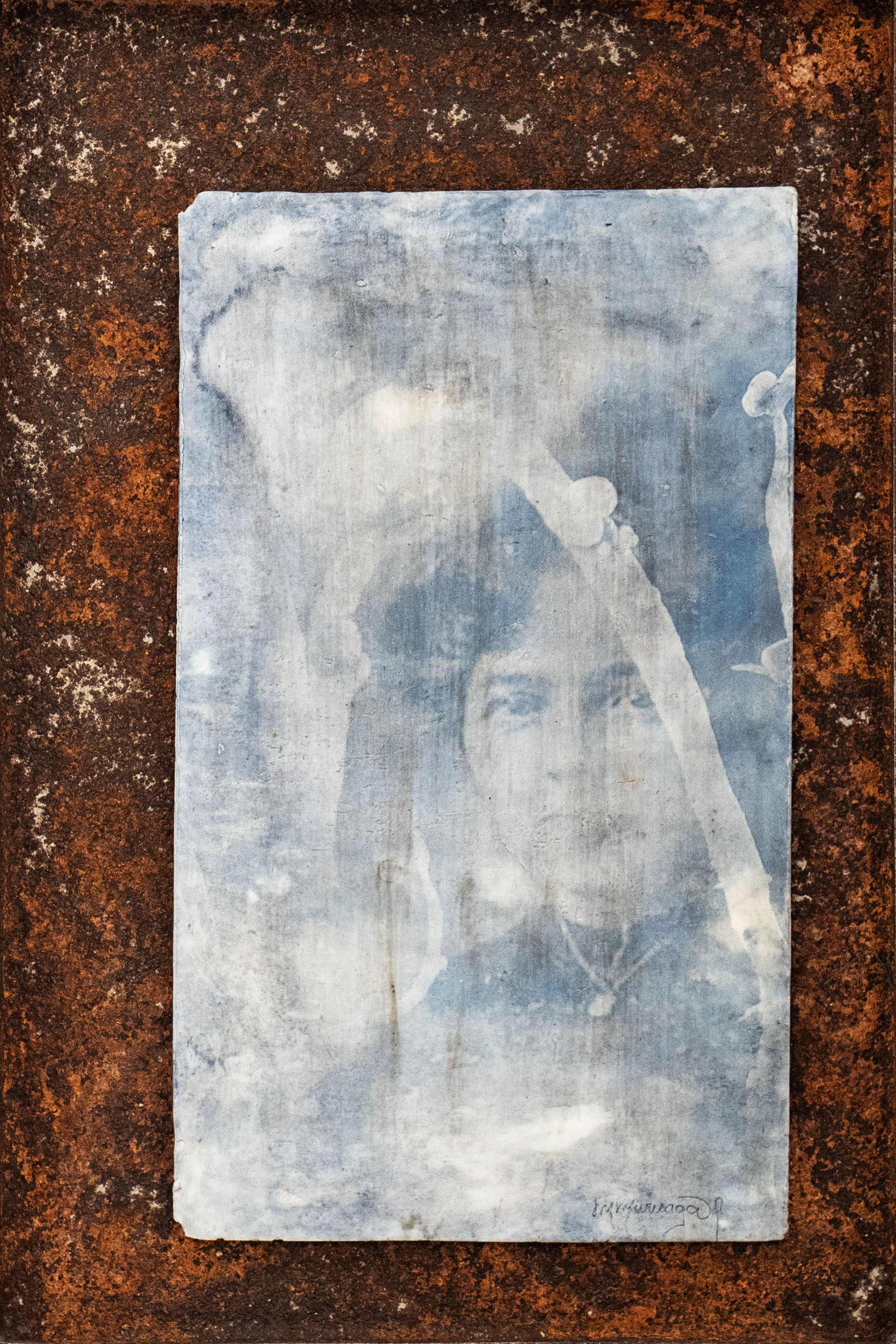 Silver print on porcelain piece by Maria Muruaga, Aberdeen study