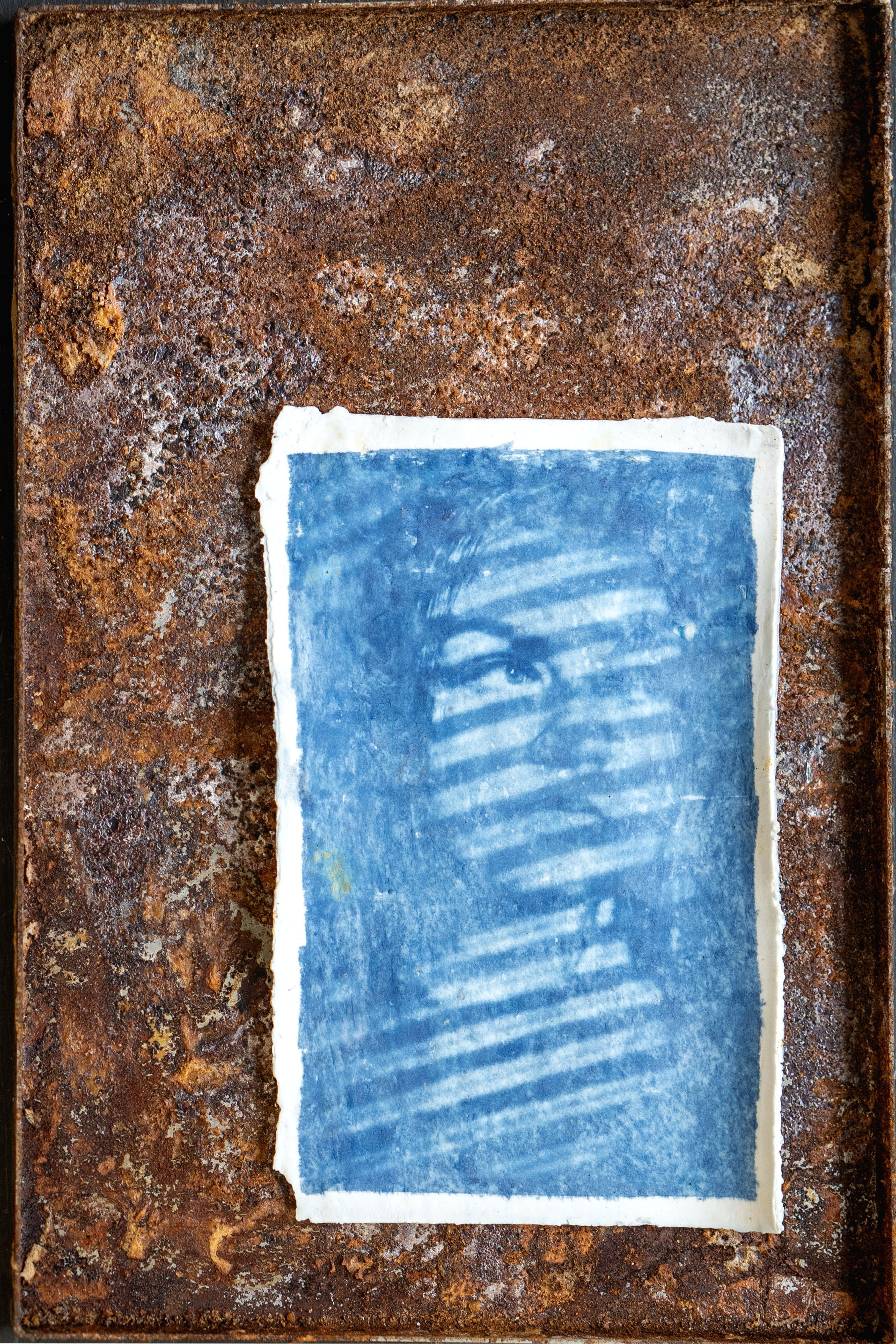 Cyanotype print by Maria Muruaga, Bonnie, Aberdeen