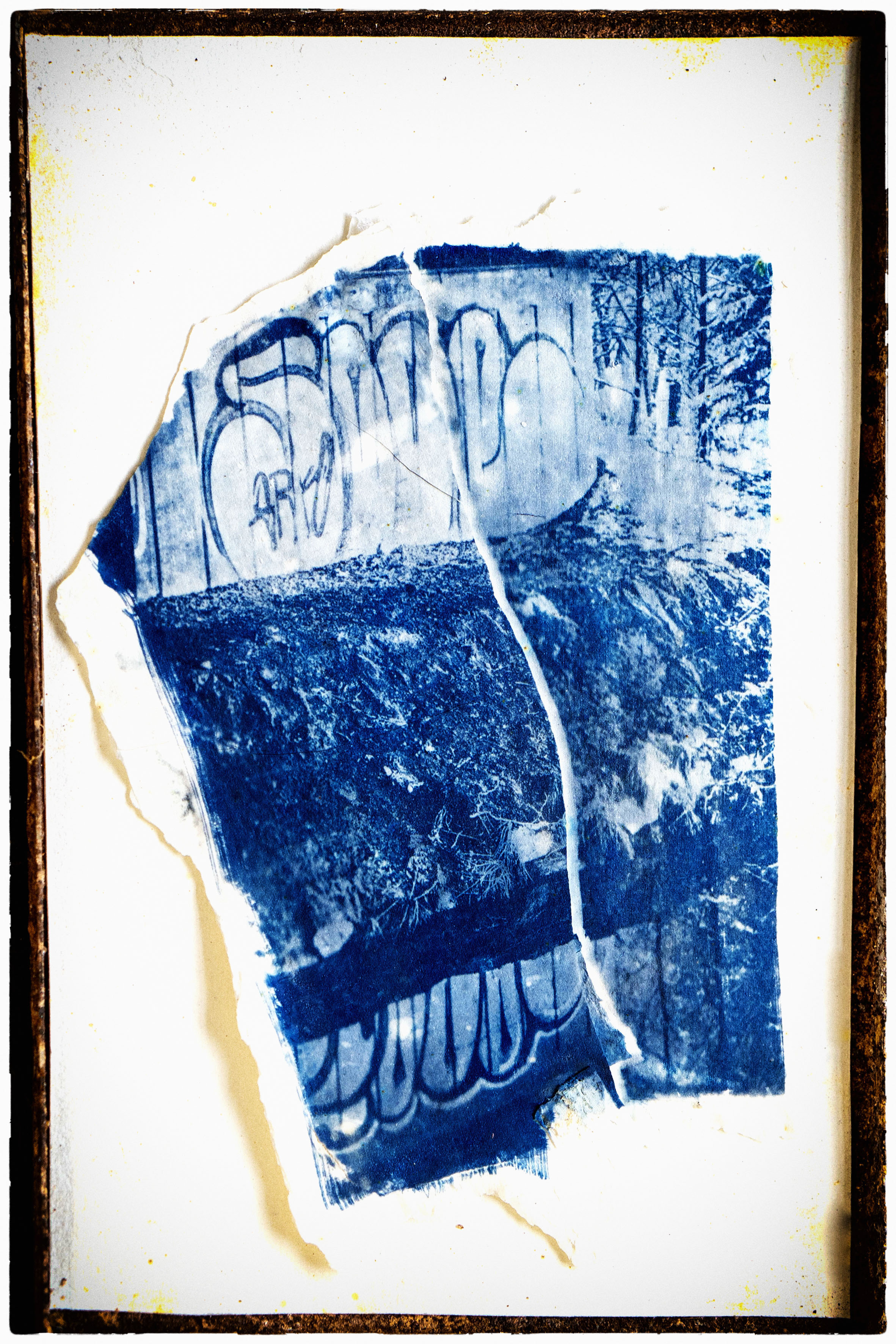 Alternative process photograph by Maria Muruaga