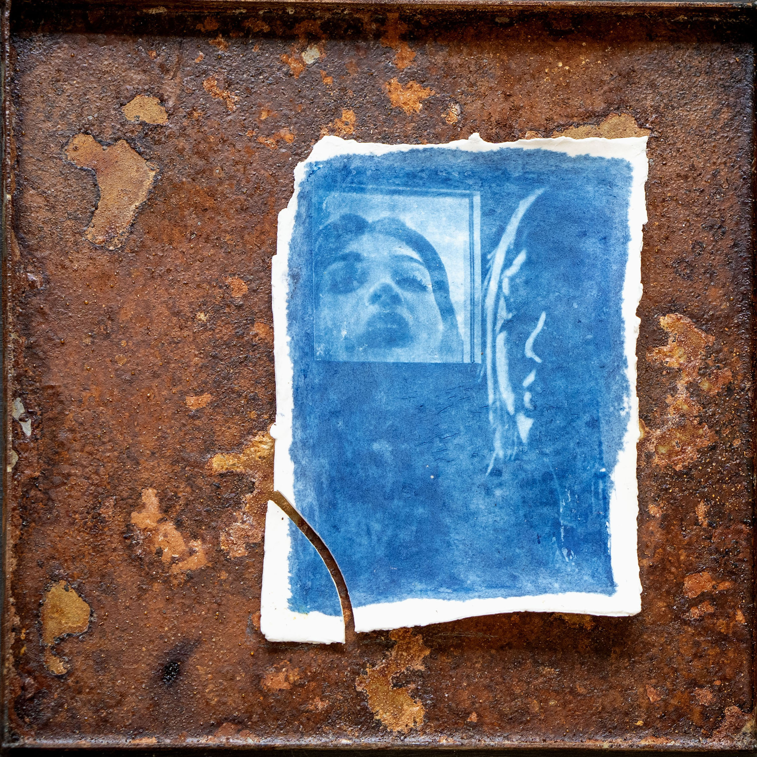 Cyanotype print by Maria Muruaga, Enigma