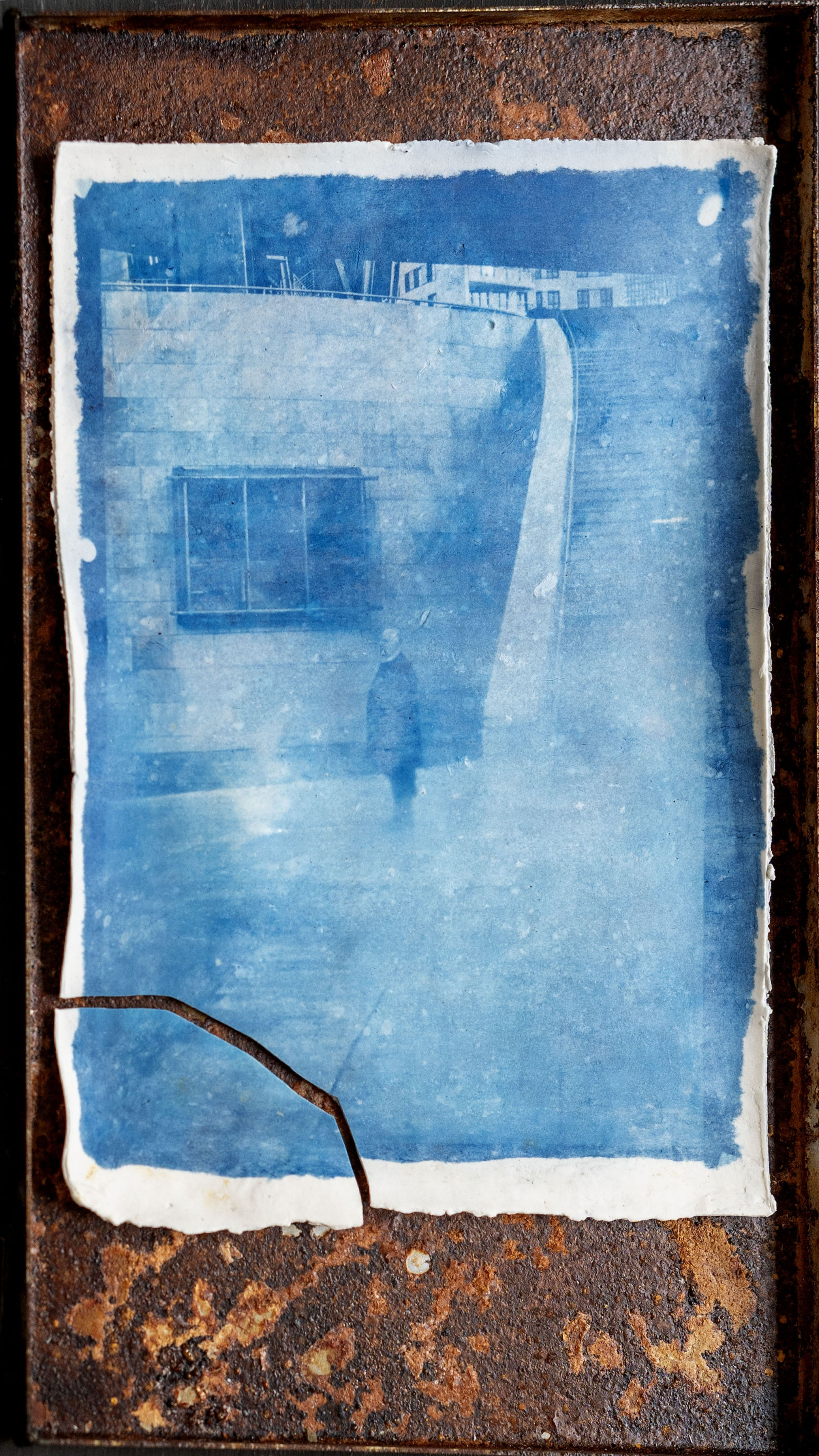 Cyanotype print by Maria Muruaga, Guggenheim Bilbao